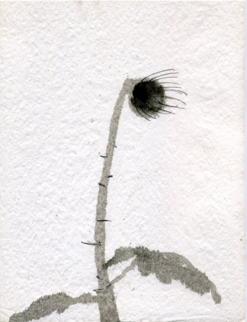 small works on paper 2005-2006