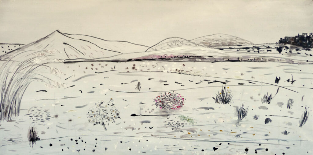 Landscapes