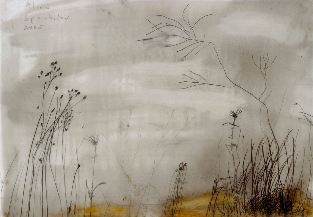 Landscapes
